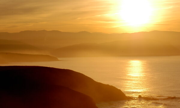 Terapias de tercera generación y enfoque humanista: un camino hacia un bienestar más consciente y auténtico